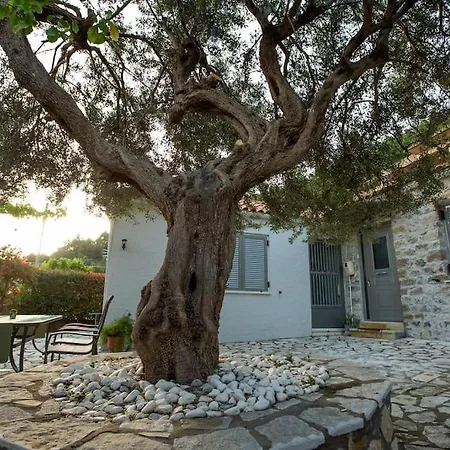 Μονοκατοικία - The Olive Tree Nafpaktos Exterior photo