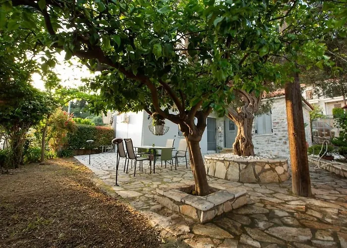 Μονοκατοικία - The Olive Tree