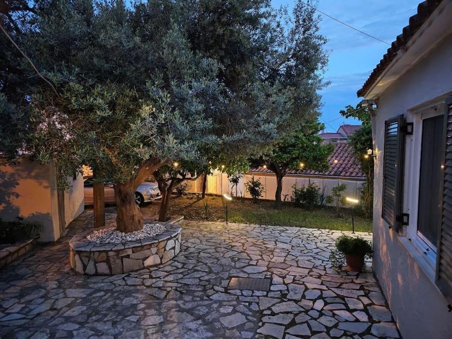 μονοκατοικία - The Olive Tree Hébergement de vacances