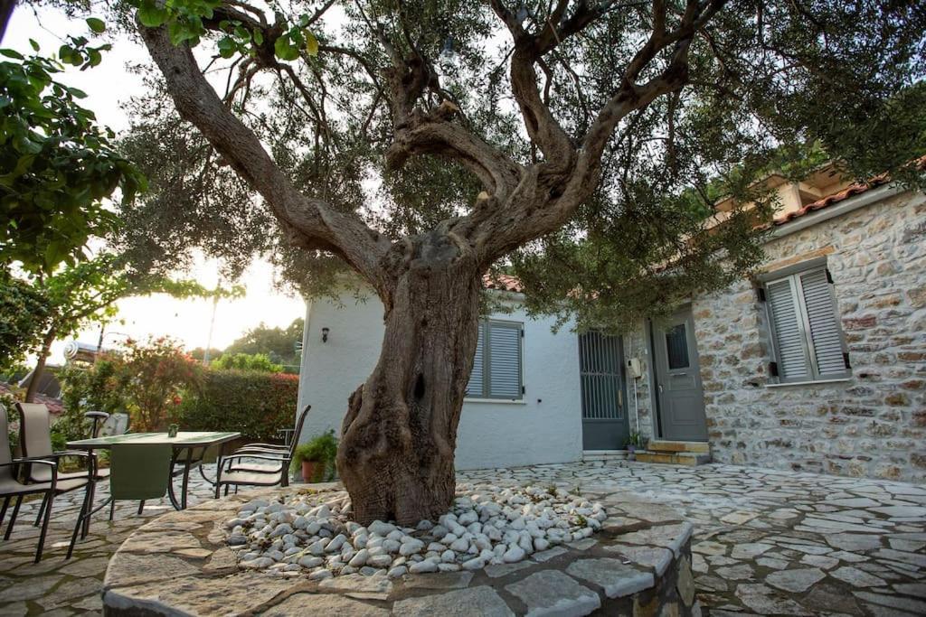 μονοκατοικία - The Olive Tree *