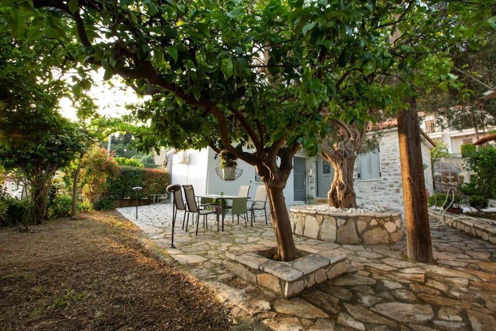 μονοκατοικία - The Olive Tree Hébergement de vacances